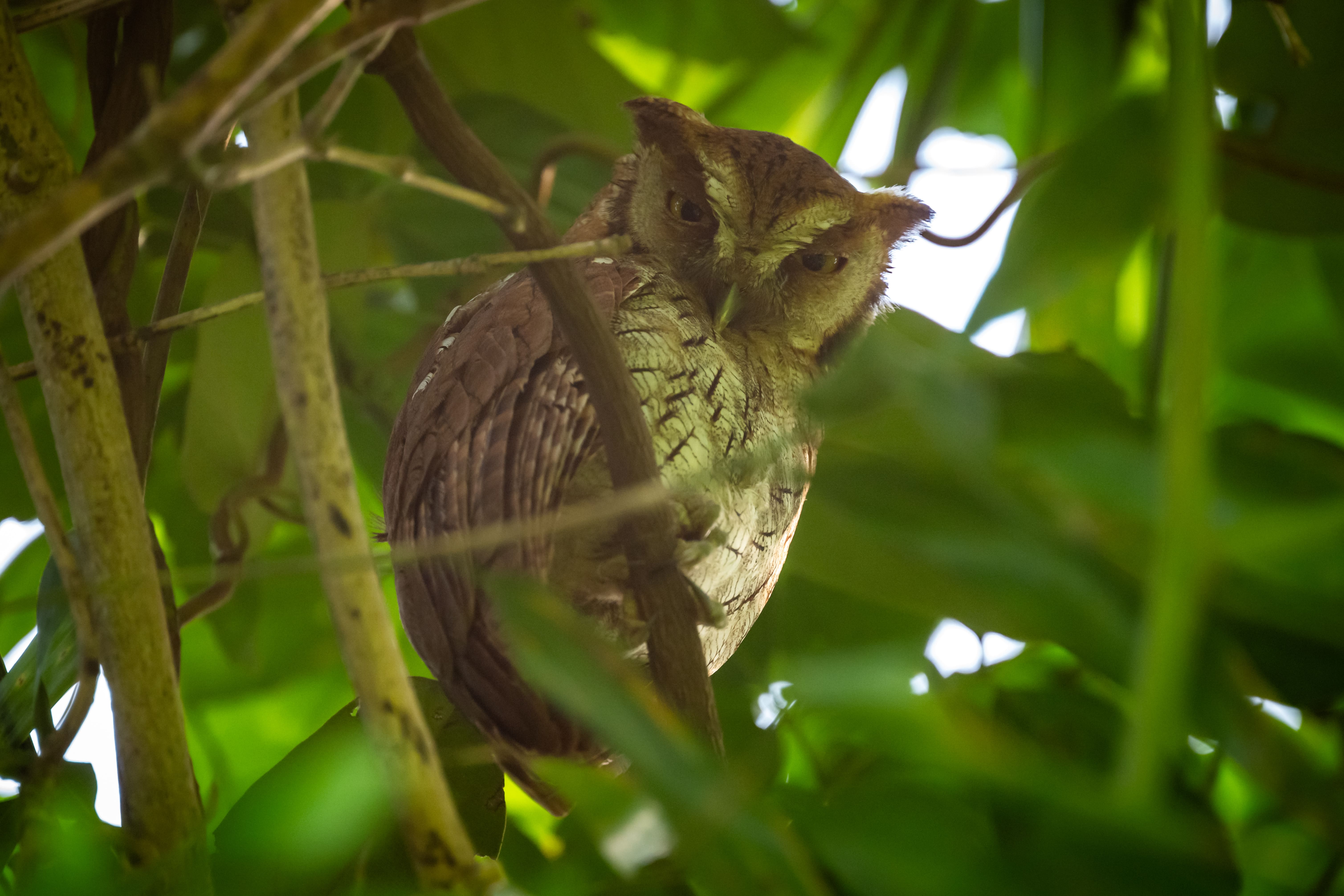 Amazon expedition photo 9